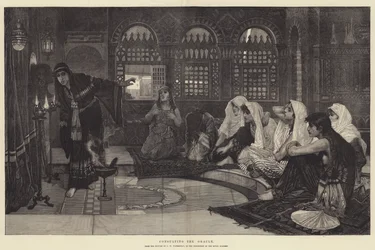 Consulting the Oracle